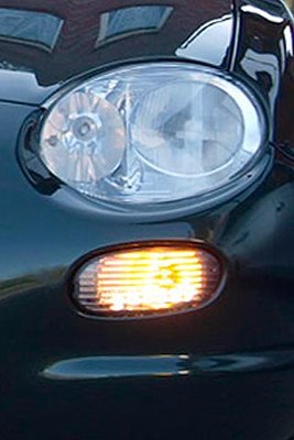 z_blinker.jpg