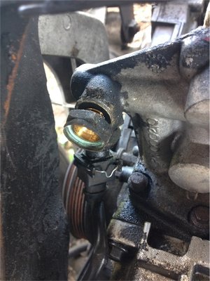 ne Hälfte vom Fühler.jpg