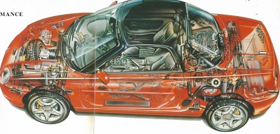 MGF-x-ray_01.jpg