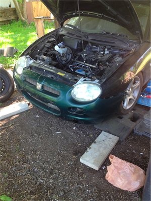 bannich hässlich.jpg